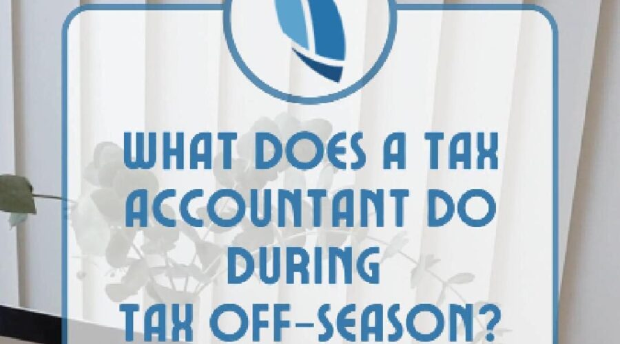 What Does A Tax Accountant Do During Tax Off-Season?